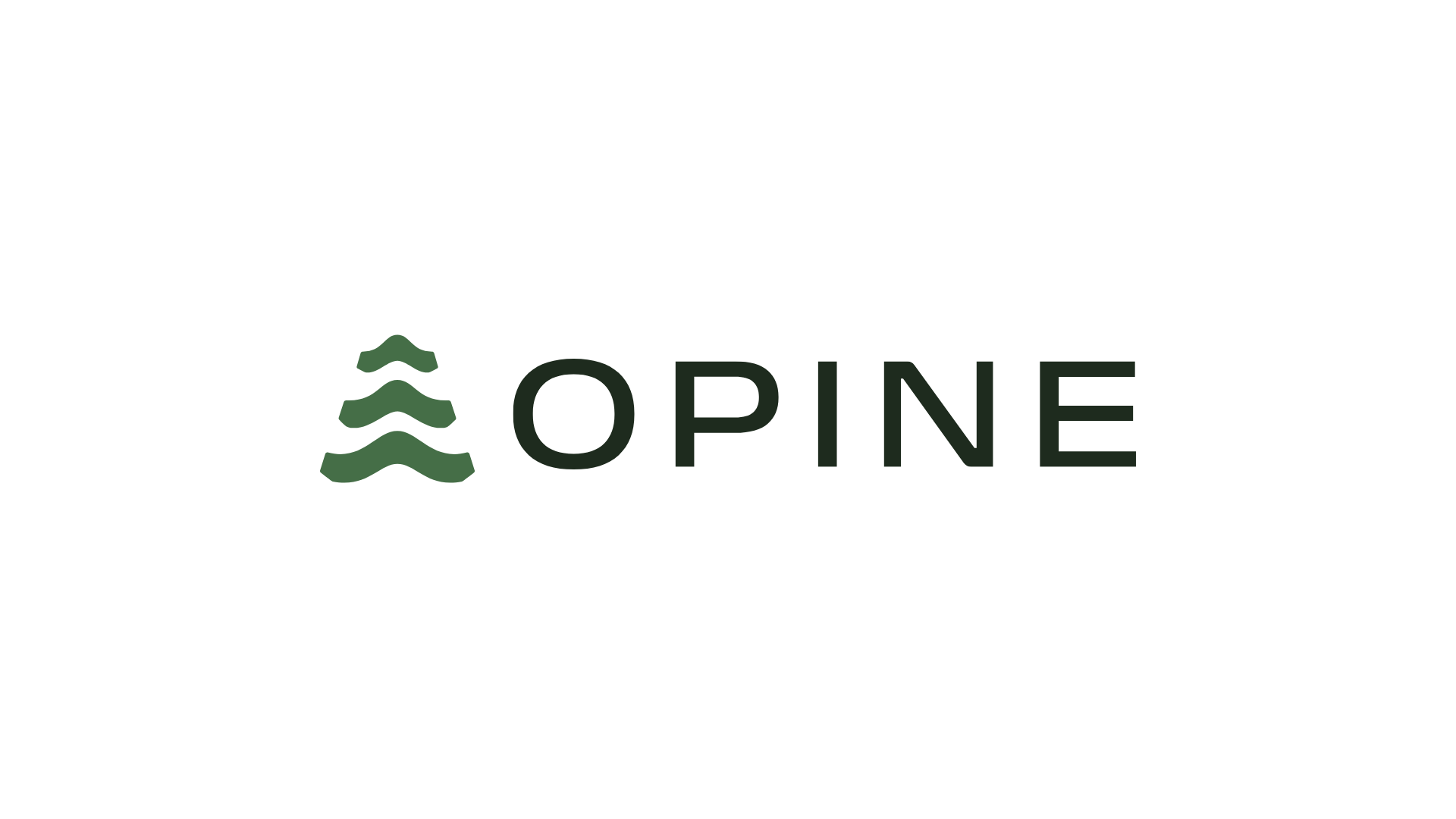 Filtered Shower Head for Skin & Hair | OPINE