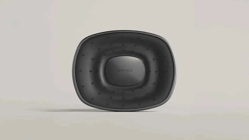 OPINE Black Filtered Shower Head