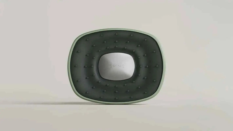 OPINE Moss Green Filtered Shower Head